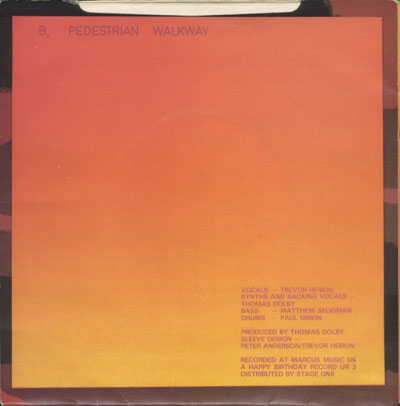 Sleeve Cover (back)